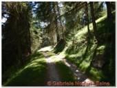 DSCN0880.jpg