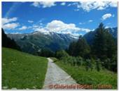DSCN0883.jpg