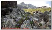 DSCN9791.jpg
