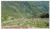 DSCN9795.jpg