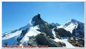 DSCN5190.jpg