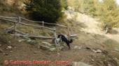 DSCN3291.jpg