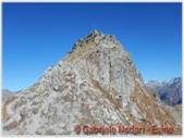 DSCN7971_small.jpg