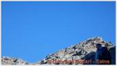 DSCN7964.jpg