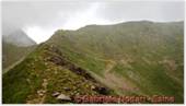 DSCN9523.jpg