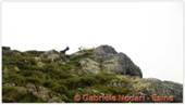 DSCN9539.jpg