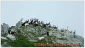 DSCN9541.jpg