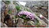 DSCN9586.jpg