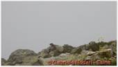 DSCN9631.jpg