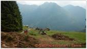 DSCN9659.jpg