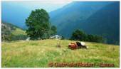 DSCN9663.jpg
