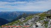 DSCN1203.jpg