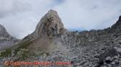 DSCN1223.jpg