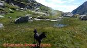 DSCN1258.jpg