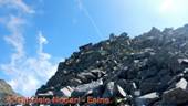DSCN0270.jpg