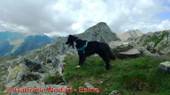 DSCN6810.jpg