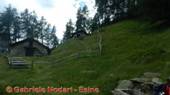 DSCN6851.jpg