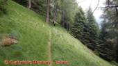 DSCN6857.jpg