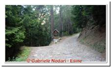 DSCN4753.jpg
