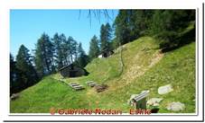 DSCN4856.jpg