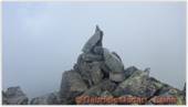 DSCN7383.jpg