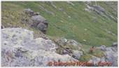 DSCN7447.jpg
