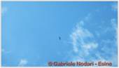 DSCN9288.jpg