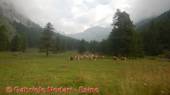 DSCN7583.jpg