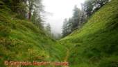 DSCN7588.jpg