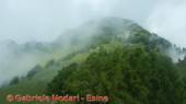 DSCN7597.jpg