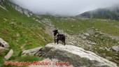 DSCN7621.jpg