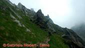 DSCN7635.jpg
