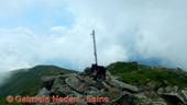 DSCN7691.jpg