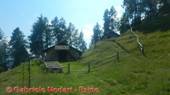 DSCN7729.jpg