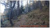DSCN0832.jpg