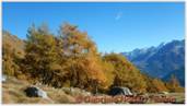 DSCN0938.jpg