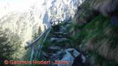 DSCN9541.jpg