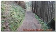 DSCN4409.JPG