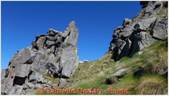 DSCN5594.jpg