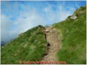 DSCN1597.JPG