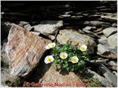 DSCN1637.JPG