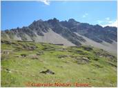 DSCN1710.JPG