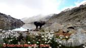 DSCN9128.jpg