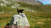 DSCN9156.jpg