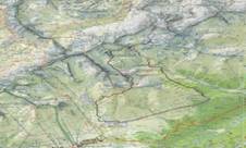 Redival_small.jpg