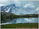 DSCN0779.jpg