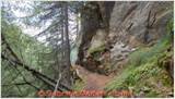 DSCN9047.jpg