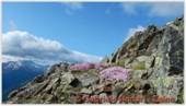 DSCN9148.jpg