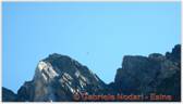 DSCN8939.jpg