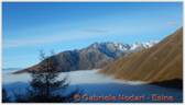 DSCN3173.jpg